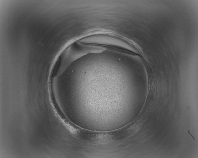 X0000056381375200508291401