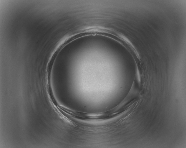 X0000056381376200508291401