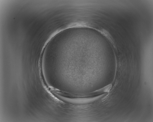 X0000056381382200508291400