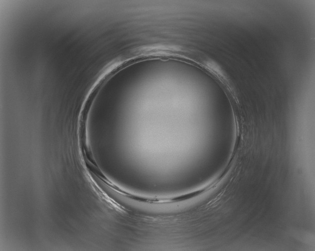 X0000056381384200508291400