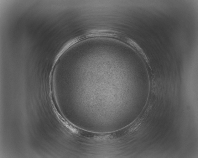 X0000056381386200508291400