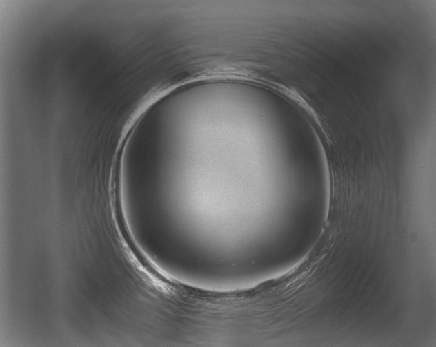 X0000056381387200508291400
