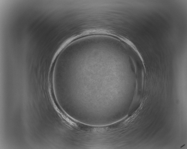X0000056381389200508291400