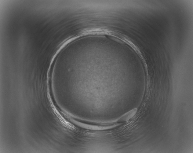 X0000056381392200508291400