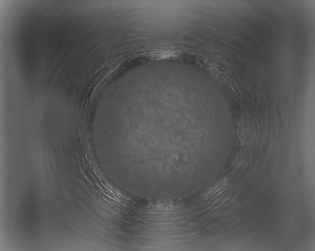 X0000056381393200508291359