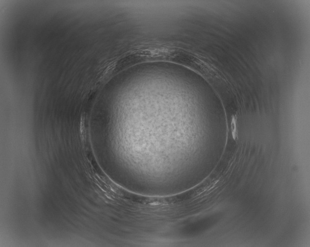 X0000056381395200508291359