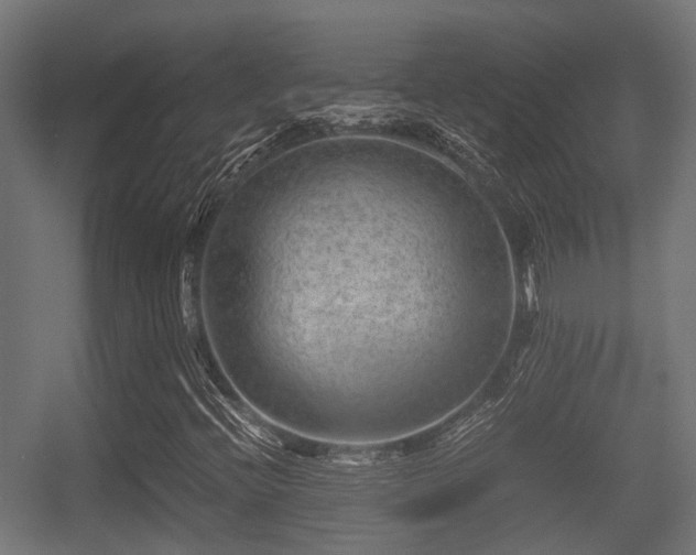 X0000056381396200508291359