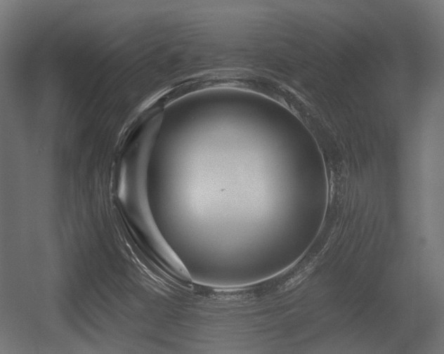 X0000056381402200508291400