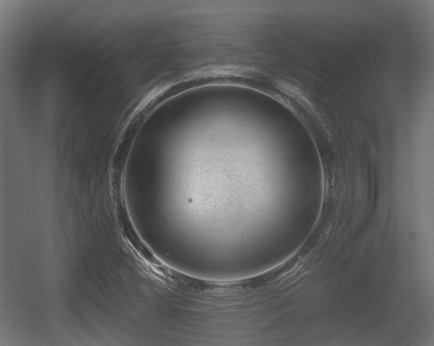 X0000056381404200508291400