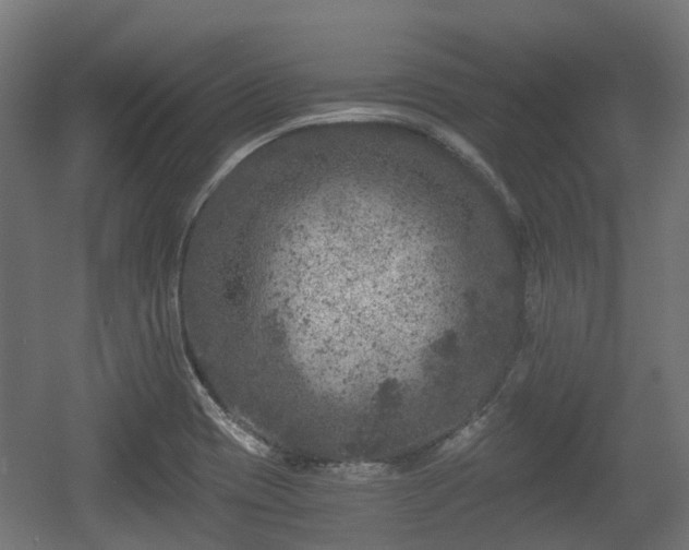 X0000056381417200508291400