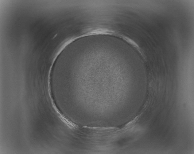 X0000056381423200508291400