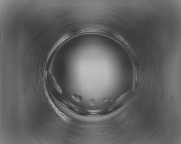 X0000056381426200508291400