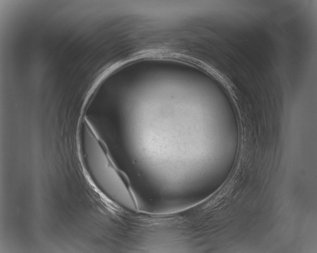 X0000056381440200508291400