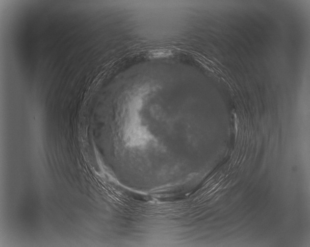 X0000056381441200508291359