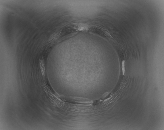 X0000056381443200508291359