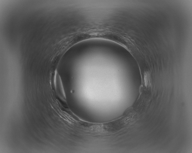 X0000056381444200508291359