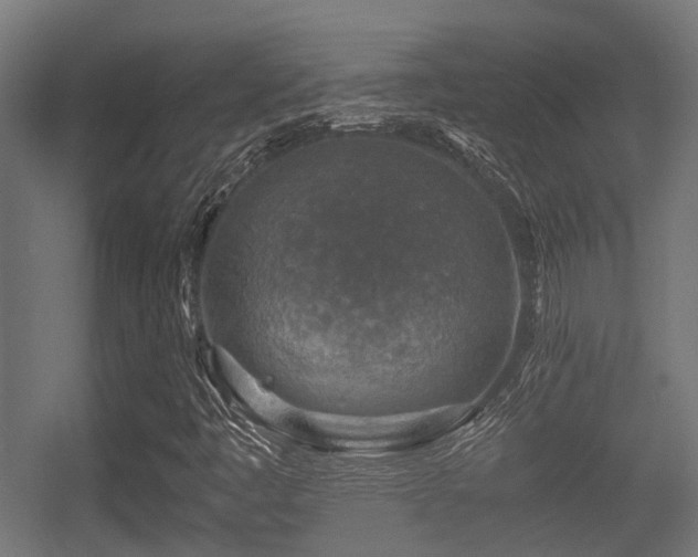 X0000056381445200508291359