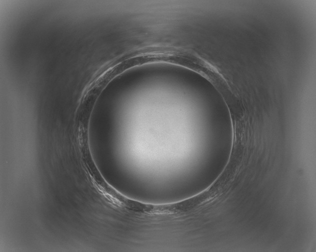 X0000056381448200508291359