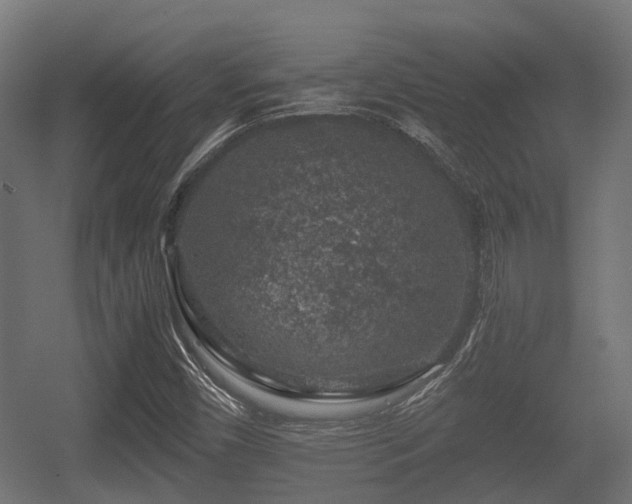 X0000056381450200508291359