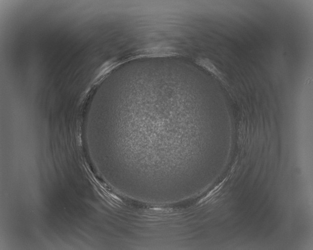 X0000056381451200508291359