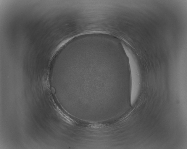 X0000056381452200508291359