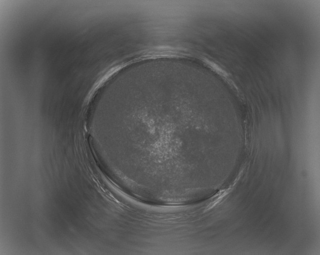 X0000056381453200508291359
