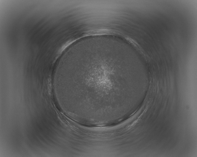 X0000056381457200508291359