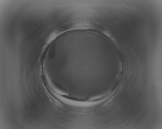 X0000056381459200508291359