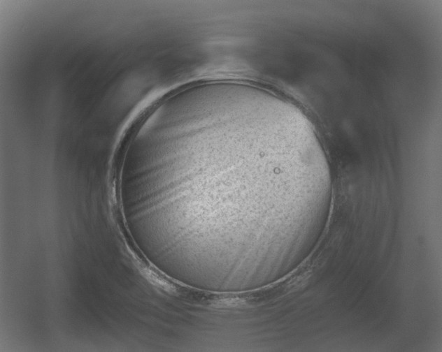 X0000056381462200508291359