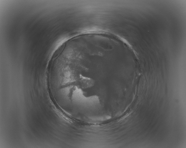 X0000056381463200508291359