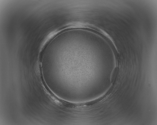 X0000056381464200508291359