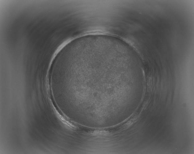 X0000056381466200508291359