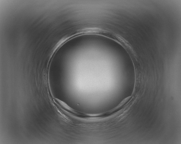 X0000056381473200508291359