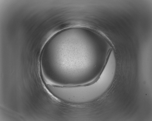 X0000056381476200508291359