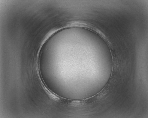 X0000056381478200508291359