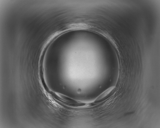 X0000056381488200508291359