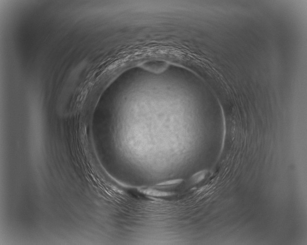 X0000056381489200508291358