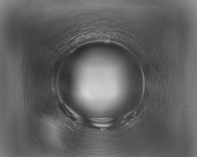X0000056381490200508291358