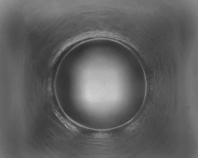 X0000056381499200508291358