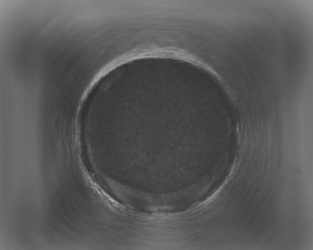 X0000056381506200508291358
