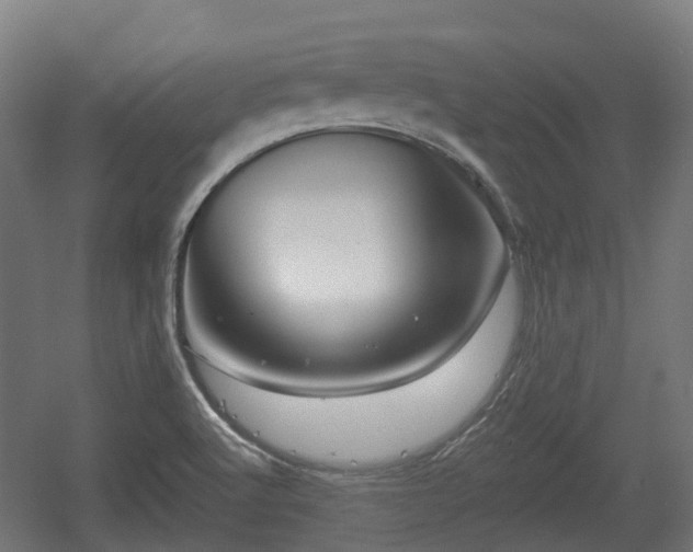 X0000056381512200508291358