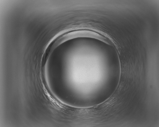 X0000056381534200508291359