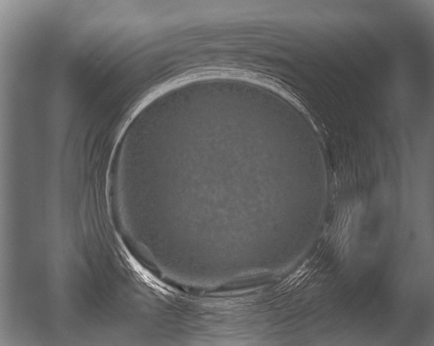 X0000056381535200508291359