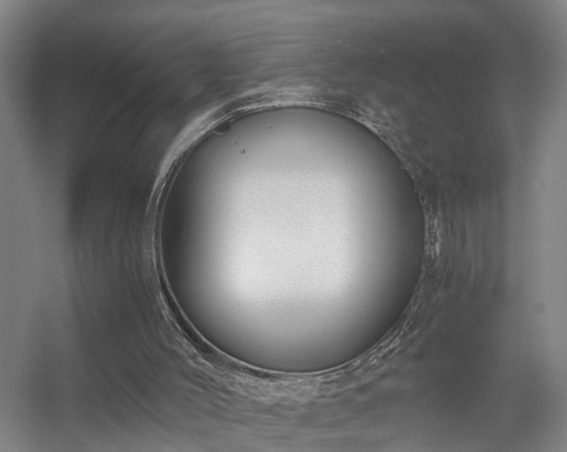 X0000056380004200509021853
