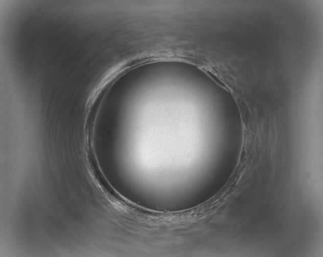 X0000056380005200509021853