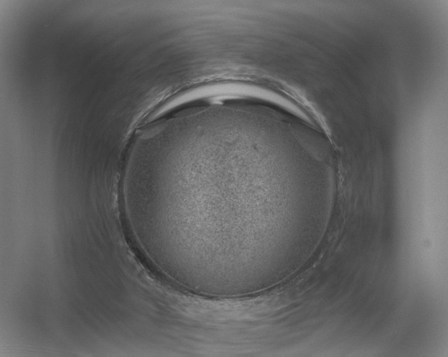 X0000056380010200509021853