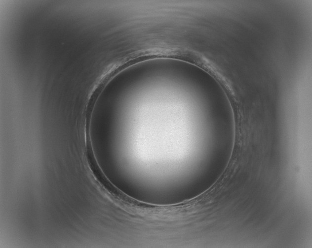 X0000056380011200509021853
