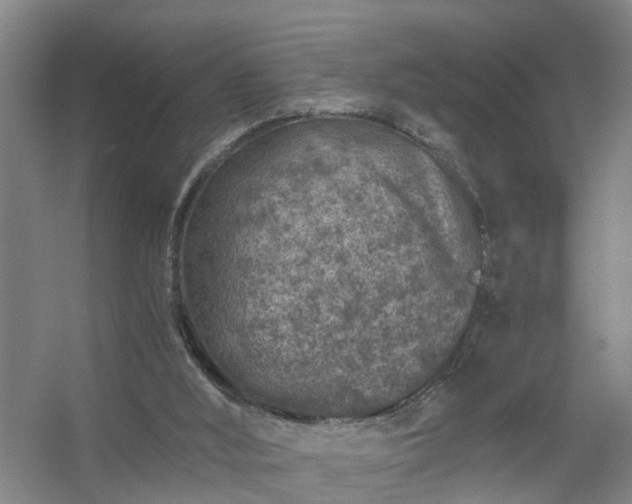 X0000056380012200509021853