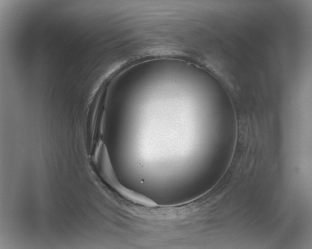 X0000056380015200509021853