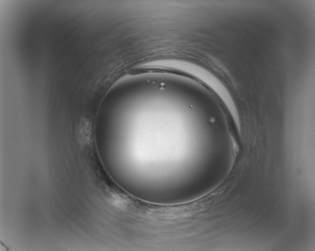 X0000056380025200509021853